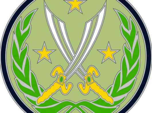 New US Army shoulder patch. Note absence of anything identifiable with the US Army or the United States of America